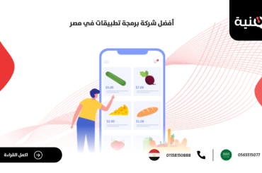 أفضل شركة برمجة تطبيقات في مصر للحصول على تطبيقك